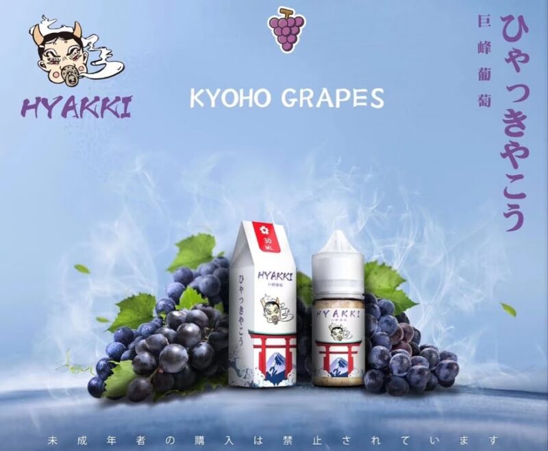 【小煙油】日系 HYAKKI（哈婭崎）30ML